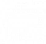 DNV White Logo